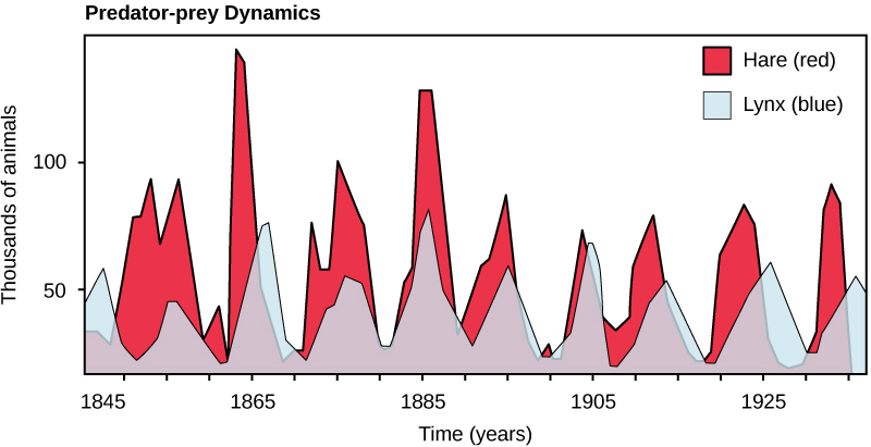 Timeseries of the combined lynx and hare populations. Notice how the populations are coupled with each other.