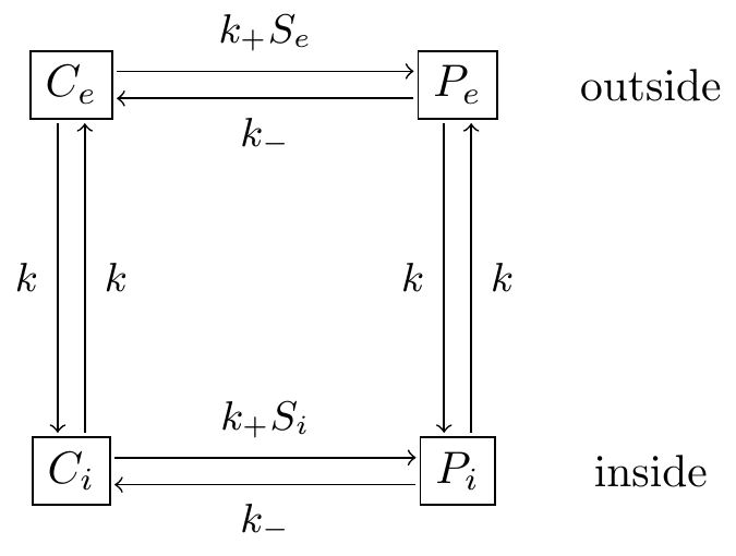 Glucose transporter reaction schemes.