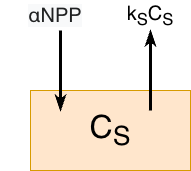 A brown box contains the text C~S~. On the top part of the box a black arrow points in, with the tail of the arrow with the text alpha NPP. A second arrow points from the box with the tip of the arrow with text kS CS.
